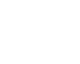 (Péri)-ménopause - Cycle menstruel